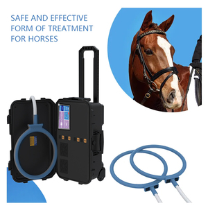 Appareil de magnétothérapie PEMF portable pour la rééducation physique des chevaux, thérapie par boucle magnétique EMTT - Product Image 6