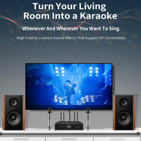 IHOMELIFE Aile ve Çocuklar İçin Ev Tipi Amfi Karaoke Seti Taşınabilir Kablosuz BT Hoparlör Mikrofonlu