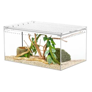 Custom Reptile Tank Enclosure 5 Gallon Acrylic Reptile Show Display Cases For Snake Hermit Crab Frog