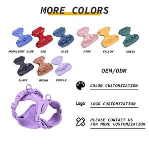 Özel Logolu Isırmaya Dayanıklı Su Geçirmez Köpek Tasması Yeleği Tek Tasma Göğüs Kayışı Yüksek Kaliteli Naylon PVC Malzeme Yeni Tek Köpek Tasması - Product Image 4