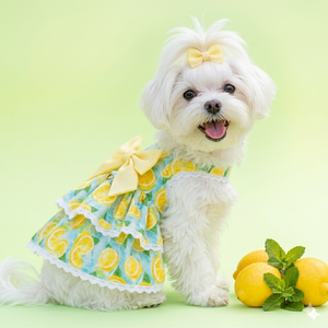 Vestido de Lujo Rosa Clásico de Verano Ligero para Perro, Estilo Princesa, con Volantes Multicapa y Gran Lazo Trasero, Regalo para Perro - Product Image 5