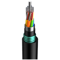 Haina GYTZA53 12-Core Single Mode Armored Fiber Optic Cable Flame Retardant Loose Tube Stranded FRP Communication Cables