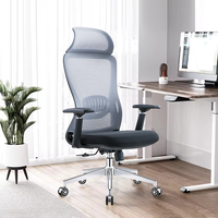 Chaise de bureau ergonomique en maille avec soutien lombaire, chaise pivotante réglable pour le bureau à domicile