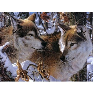 Nhà máy OEM 5D AB sơn kim cương Kit bán buôn động vật mô hình cảnh quan DIY nghệ thuật kim cương thêu - Product Image 3