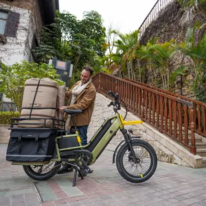 Bicicleta de carga longa para família, pneu grosso 750w, novo design por atacado, carregamento frontal, bicicletas Bakfiets