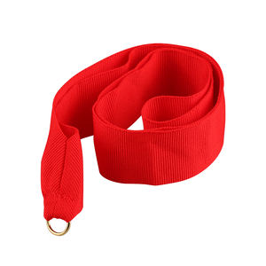 Lanière imprimée de Logo personnalisé en Nylon de Polyester de Sublimation vierge OEM bon marché - Product Image 1