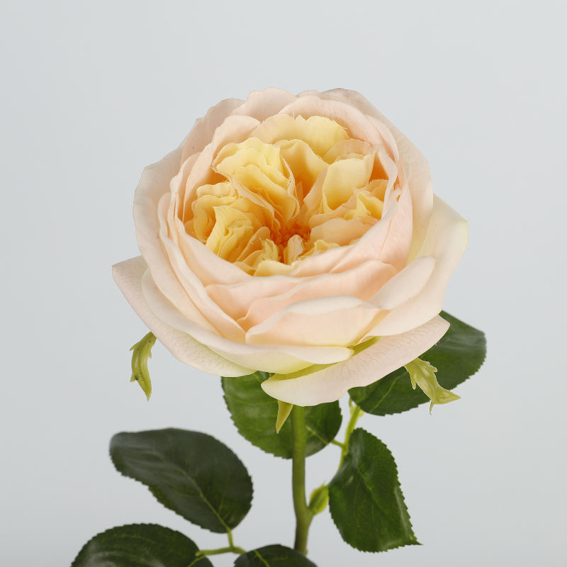 เหลืองอ่อน