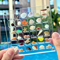 Boîte de présentation en acrylique transparente avec couvercle magnétique pour collections de coquillages, pierres précieuses, petits objets artisanaux et souvenirs de plage