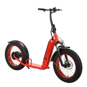 Sharing CE Cheap Folding Electrical Scooter Wholesale 500W Offroad Electric Scooter 20inch Big Wheel E Scooter