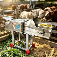Machine de traitement des aliments en acier inoxydable de 5 tonnes, coupe-herbe, broyeur de foin et de fourrage pour la Tanzanie, hacheuse de paille pour milieux humides