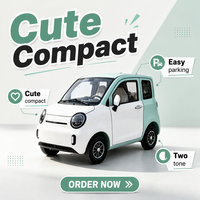 Nouvelle Voiture Électrique de Commutation Urbaine Haute Performance, Véhicule Chinois à Énergie Nouvelle, Mini Voiture Électrique 4 Roues pour Adultes