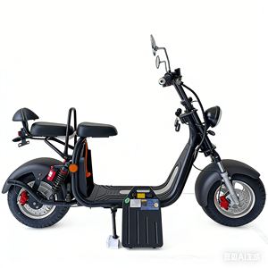 <span class=keywords><strong>Moto</strong></span> électrique 2 places en alliage d'aluminium 2000W, best-seller, avec sacoches de voyage longue distance pour adultes, scooter à deux roues - Product Image 6