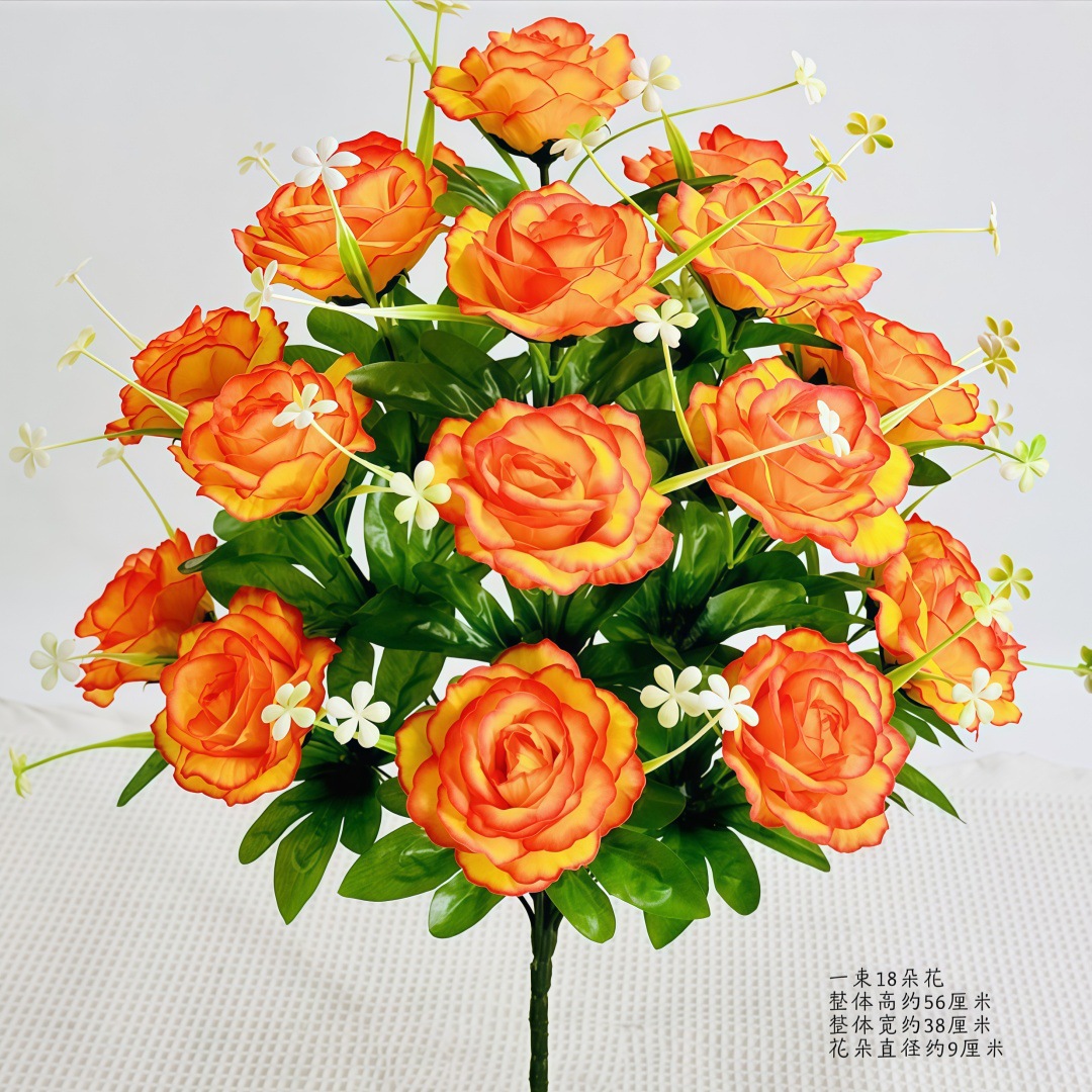 18 tiges hautes princesse rose coucher de soleil rouge