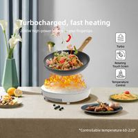 Cuisinière à induction à plaque chauffante à induction électrique durable de la meilleure qualité pour un usage domestique