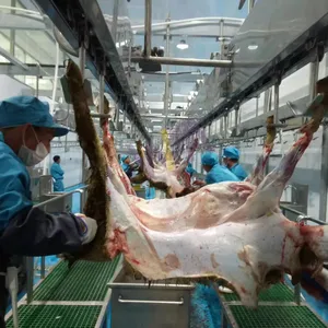 Ligne complète d'abattage de moutons agneau équipement halal d'abattoir avec machine d'abattoir de chèvres