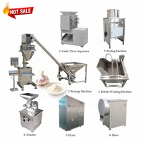 Groothandelsprijs Professionele Knoflookproductielijn Knoflookpoeder Productielijn Knoflookpoedermolen Poedermachine