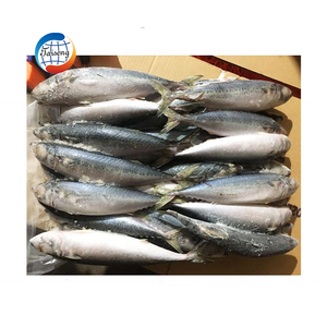 Pescado Atún Congelado IQF de 100-200g, Grado A, Venta al por Mayor de China, al Mejor Precio - Product Image 6