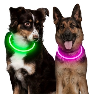 <span class=keywords><strong>Collar</strong></span> LED para Perro Personalizado por el Fabricante, Ajustable, Recargable Tipo C, Luminoso para la Noche, Luz Antiperdida, Brillante de PVC Sólido - Product Image 1