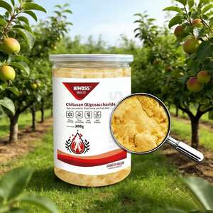 Oligosacárido de Quitosano de Alta Pureza <span class=keywords><strong>para</strong></span> la Agricultura, Mejora la Resistencia a Enfermedades y la Tolerancia al Estrés, Muestra Gratuita - Product Image 3