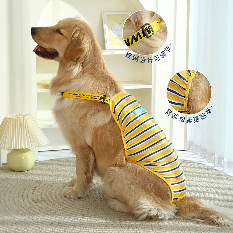 Female Dog Mating Successful Mating Dog Stock Footage Video (100