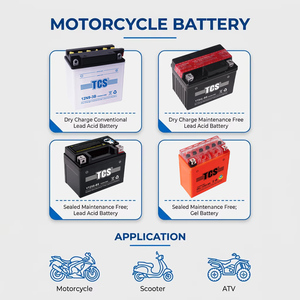 <span class=keywords><strong>Batterie</strong></span> de moto sans entretien, prête à l'emploi, TCS 12V 28ah <span class=keywords><strong>YTX30L</strong></span>-<span class=keywords><strong>BS</strong></span>, fournisseur fabricant - Product Image 3