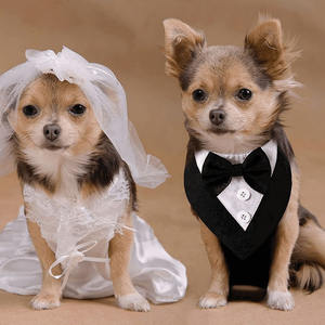 Corbata de Moño para Perro, Esmoquin Formal para Boda, Cumpleaños, Bandana para Perros Pequeños, Medianos y Grandes - Product Image 3