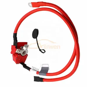 Aelwen Auto Emergency Tool Auto Car Battery Cable Fit For BMW F20 F21 F22 F87 M2 F23 OE 61129253111