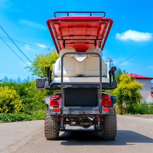 Carrito de Golf Silencioso de 4 Plazas, Cero Emisiones, Motor con Enfriamiento Natural, Bajo Costo de Funcionamiento, para Comunidades de Retiros, Opción de Color Personalizado - Product Image 2
