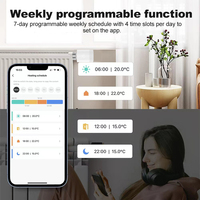 Vanne thermostatique intelligente Tuya Zigbee 3.0 TRV, thermostat de radiateur automatique, contrôleur de température, batterie, utilisation domestique, hôtelière, compatible Alexa et Google