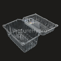 Boîte de conditionnement transparente en plastique PET de qualité alimentaire pour fruits (raisins, cerises, tomates)