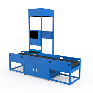 Truelisort 공장 직접 도매 사용자 정의 고정밀 2400 ~ 3600 개/시간 Fruncidos 정적 Dws 기계 시스템 - Product Image 6