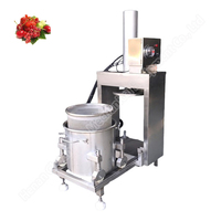 Fruit and Vegetable Hydraulic Press Hydraulic Juicer Coconut Manual Olive Oil Press