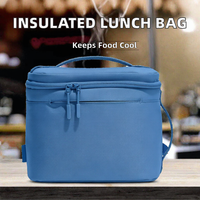 Sac à lunch isotherme, porte-aliments thermique, doublure en aluminium, fermeture à glissière, léger, réutilisable pour les voyages et les pique-niques