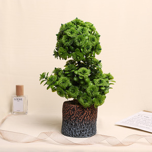 Plante artificielle en rose Jinhe 9x9x28cm, fleur en soie, décoration intérieure, verdure - Product Image 2