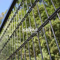 Clôture à double fil personnalisée de vente chaude, clôture de limite de jardin sécurisée, prix d'usine direct