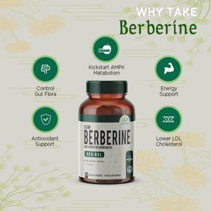 Herblife ou OEM personnalisé, extrait de berbérine végétalien, supplément de chlorhydrate de berbérine, capsules de chlorhydrate de berbérine - Product Image 5
