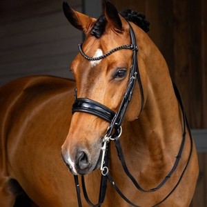 Durable 100% English Leather Horse Bridle Custom Logo Fancy Stitching Custom Design Samples Available Western Riding <b>Equestrian</b> - Product Image 4