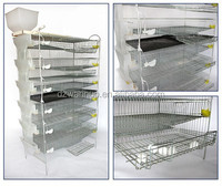 Meilleures ventes : Cage à cailles en plastique avec mangeoire, Cage à cailles à vendre aux Philippines, Cage commerciale pour cailles pondeuses