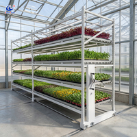 Système de culture verticale Chenchao avec solution clé en main, système de culture hydroponique et banc roulant pour serre, idéal pour la culture des fraises