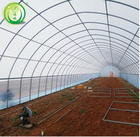 Serre de jardin potager agricole moderne serre tunnel simple film plastique poly avec système hydroponique