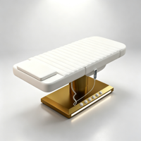Table de massage pour soins de beauté Salon spa médical de thérapie électrique moderne de haute qualité Salon de cils Lit de thérapie de beauté inclinable