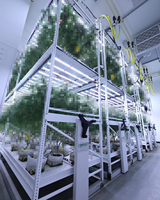 Guangzhou Jeanter systèmes de culture hydroponique intérieur mobile Microgreens support de culture vertical