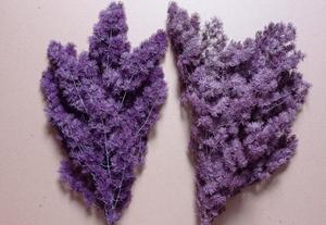 Fiori Secchi di Felce Ming, Asparagus Felice Naturale Essiccato e Conservato per Decorazioni di Matrimoni, Natale, Laurea e Capodanno Cinese - Product Image 4