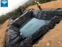 Géomembrane HDPE sur mesure pour bassin, réservoir et barrage, épaisseur 0,5 mm à 3,0 mm, haute résistance à la traction