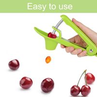 Pêcheur de cerises pratique en ABS et acier inoxydable vert, outil de cuisine rapide et facile, articles ménagers, qualité alimentaire, presse manuelle, logo personnalisé