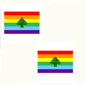 Bandera del Orgullo Gay LGBT de <span class=keywords><strong>Filadelfia</strong></span>, de Poliéster de Doble Cara, de 3x5 Pies, en Oferta - Product Image 2