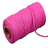 Vente en gros de corde en coton torsadée multicolores de 2 mm, corde tressée, cordon en macramé pour la décoration artisanale