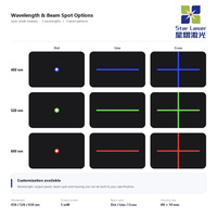 Harga Pabrik Modul Laser Titik Biru 5mW 450nm dengan Kabel untuk Instrumen Kalibrasi Penyelarasan Tanpa PCBA