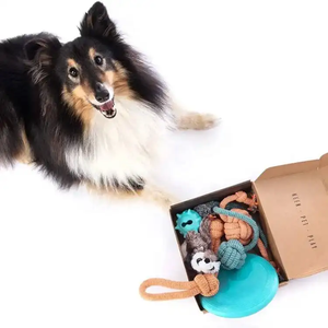 Набор игрушек для собак, жевательные игрушки для щенков, веревка, плюшевые игрушки, коробка для игры, подарок на день рождения, подарочная коробка - Product Image 3