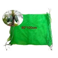 Plastic Pe Mesh Zak Groen Insect Trekkoord Voor Datering 80X100Cm
